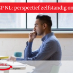 Enquête ZZP NL